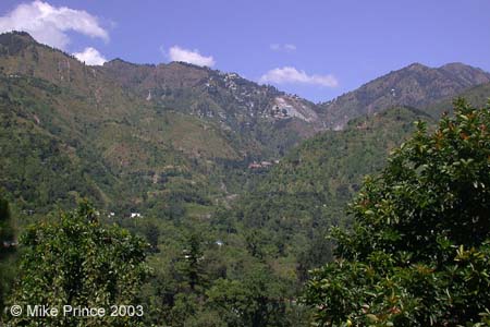 View of Nainital from Jeolikote.